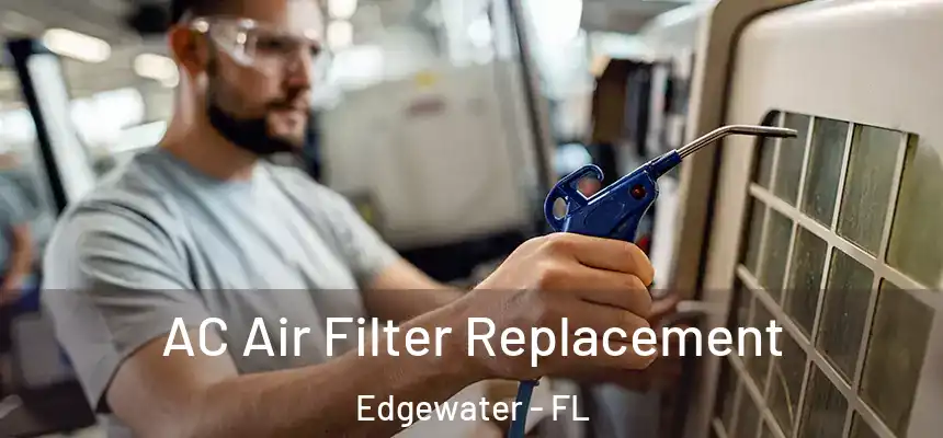 AC Air Filter Replacement Edgewater - FL