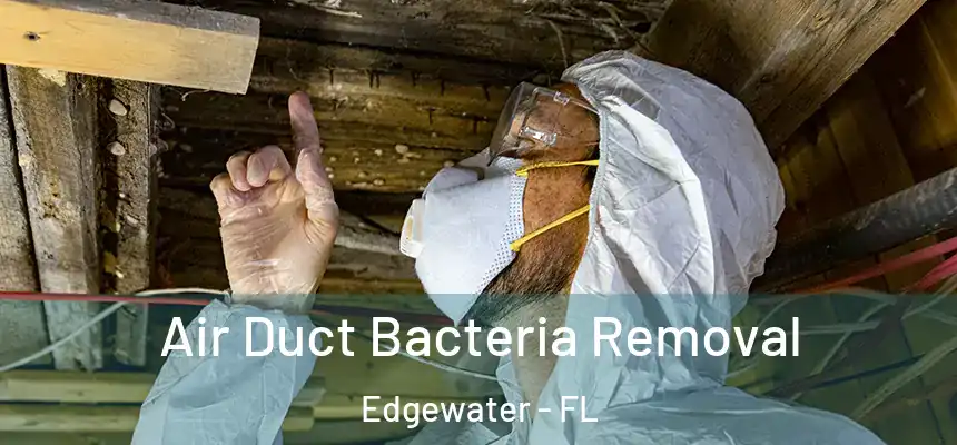 Air Duct Bacteria Removal Edgewater - FL