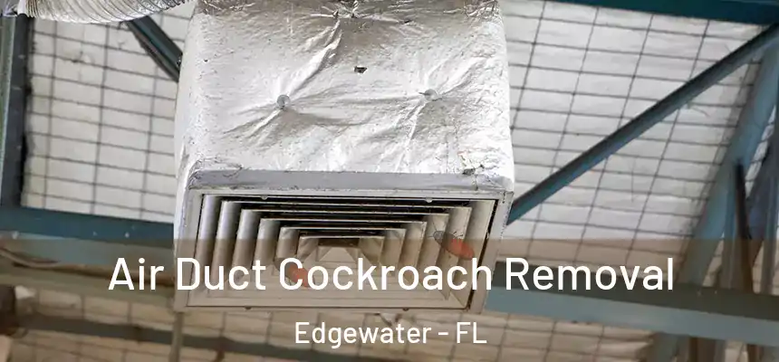 Air Duct Cockroach Removal Edgewater - FL