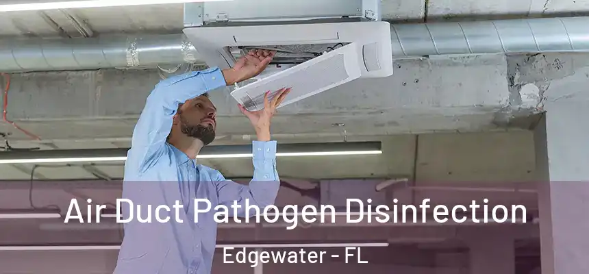 Air Duct Pathogen Disinfection Edgewater - FL