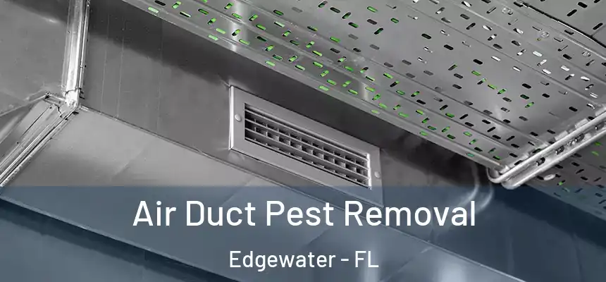 Air Duct Pest Removal Edgewater - FL