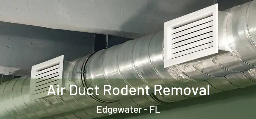 Air Duct Rodent Removal Edgewater - FL