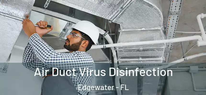 Air Duct Virus Disinfection Edgewater - FL