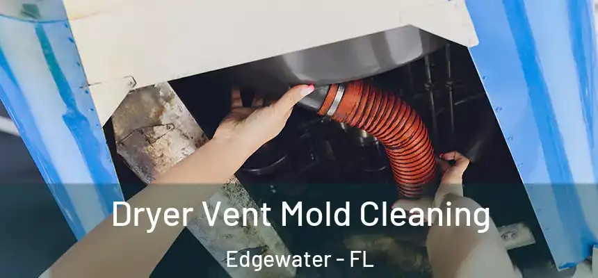 Dryer Vent Mold Cleaning Edgewater - FL