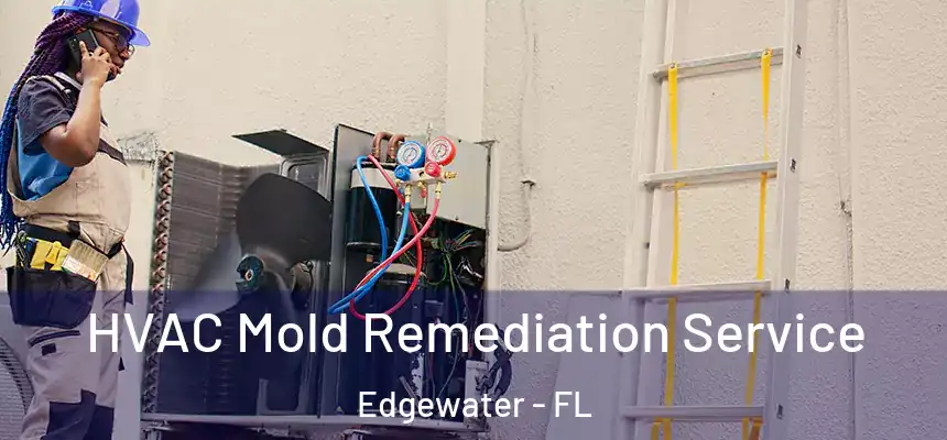 HVAC Mold Remediation Service Edgewater - FL