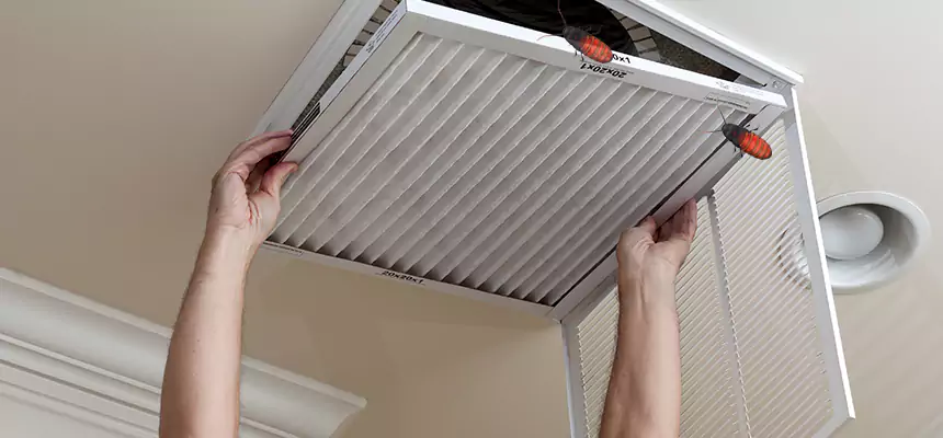 Preventive Cockroach-Proofing for Ducts in Edgewater