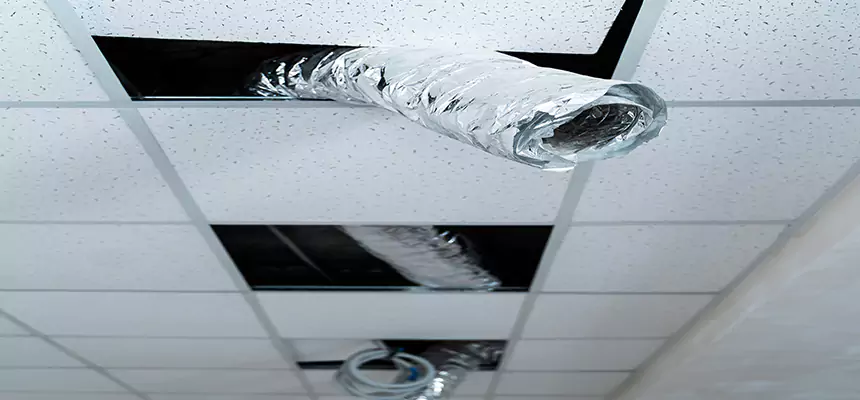 Affordable HVAC Sanitizing After Pest Removal in Edgewater