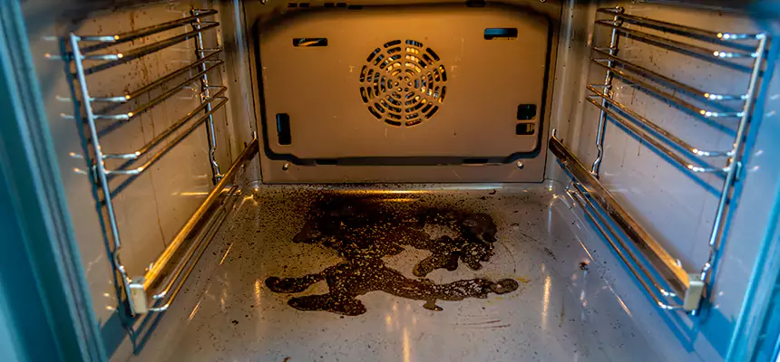 Our Dryer Vent Mold Cleaning Services in Edgewater, FL