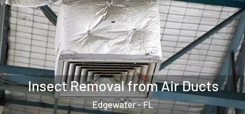 Insect Removal from Air Ducts Edgewater - FL