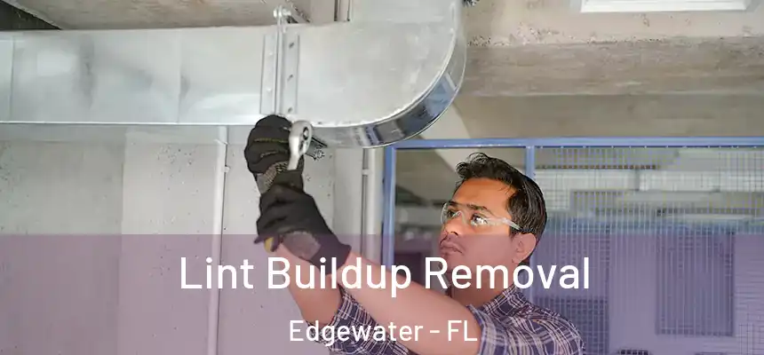 Lint Buildup Removal Edgewater - FL