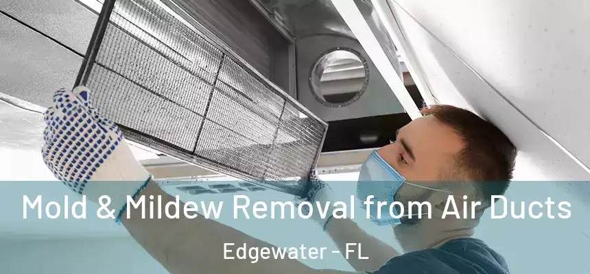 Mold & Mildew Removal from Air Ducts Edgewater - FL