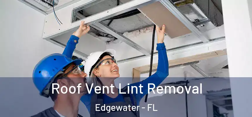 Roof Vent Lint Removal Edgewater - FL