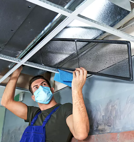 About Air Duct Bacteria Removal in Edgewater