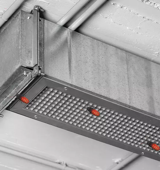 About Air Duct Cockroach Removal in Edgewater, FL