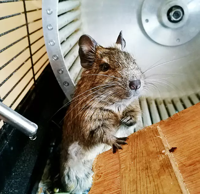 Why Homeowners & Businesses Trust Us Edgewater, FL