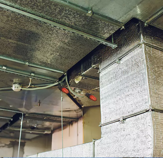 Why Homeowners & Businesses Trust Us Edgewater, FL?